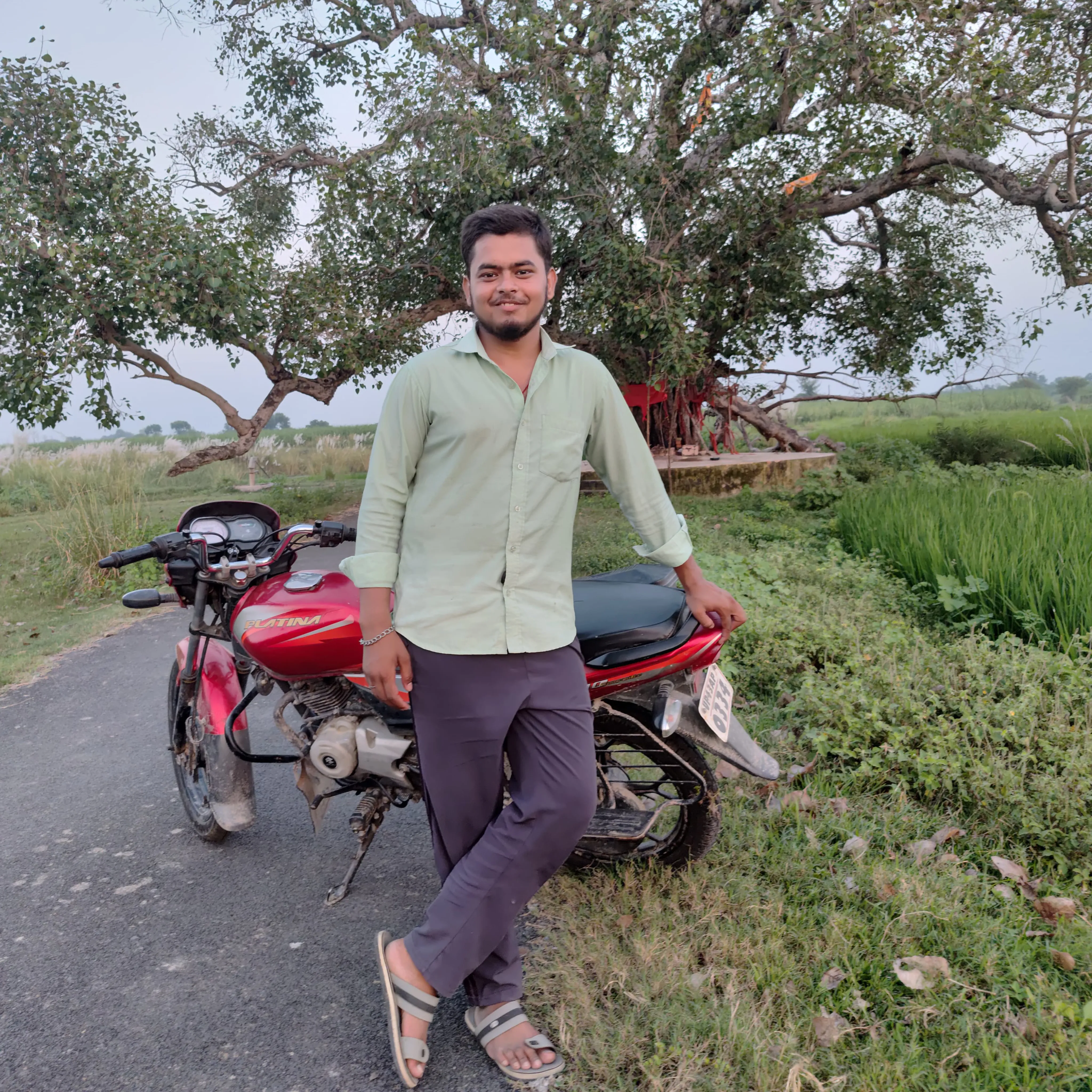 sani singh