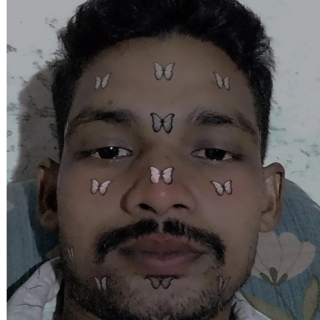 pravat boxi