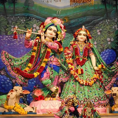 AshishSingh Rajput