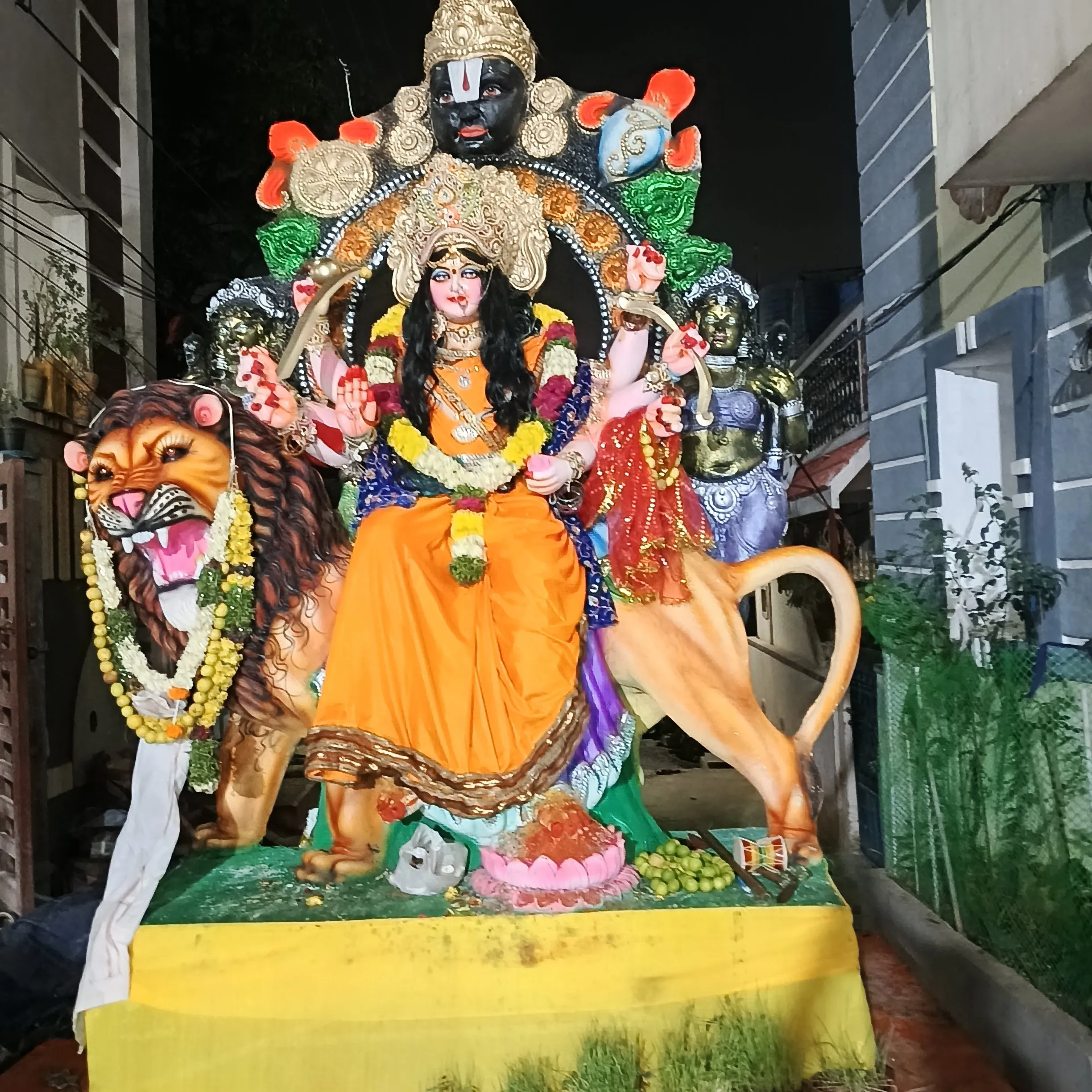 darmularaju raju