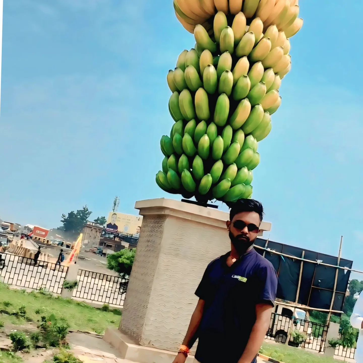 Raja Dillse