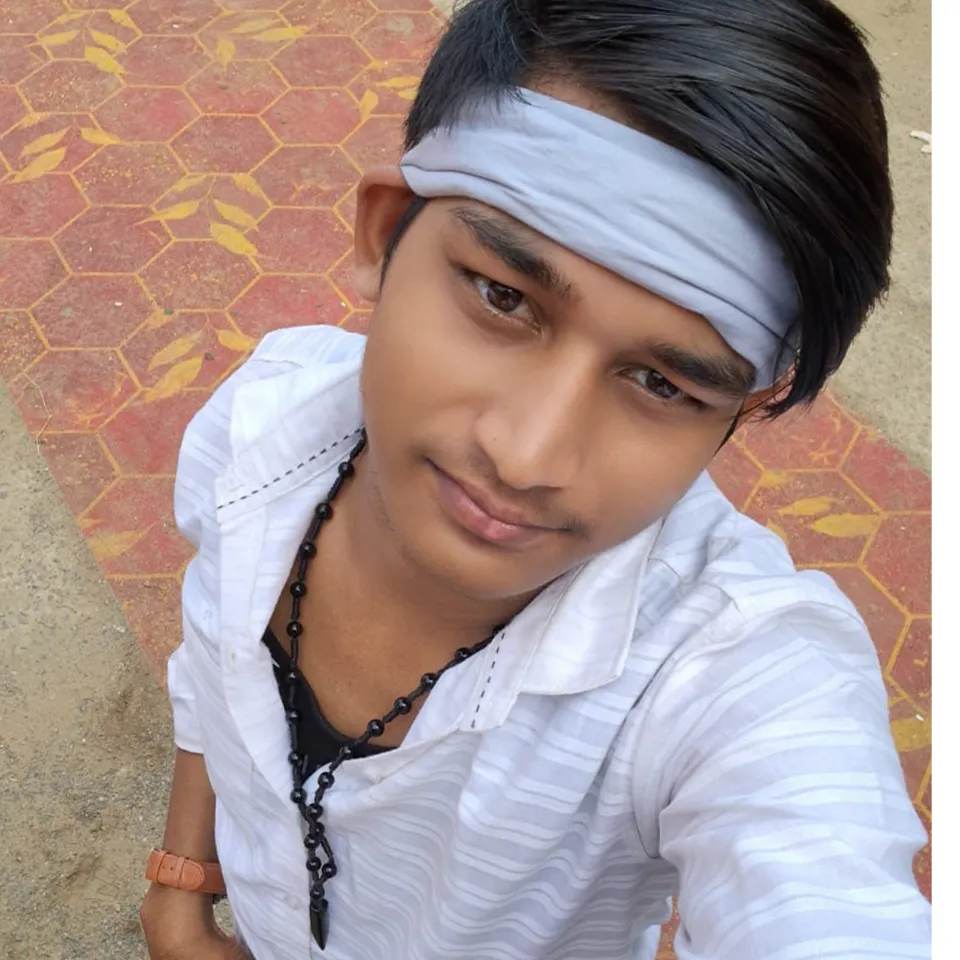 Ls Lavkush king