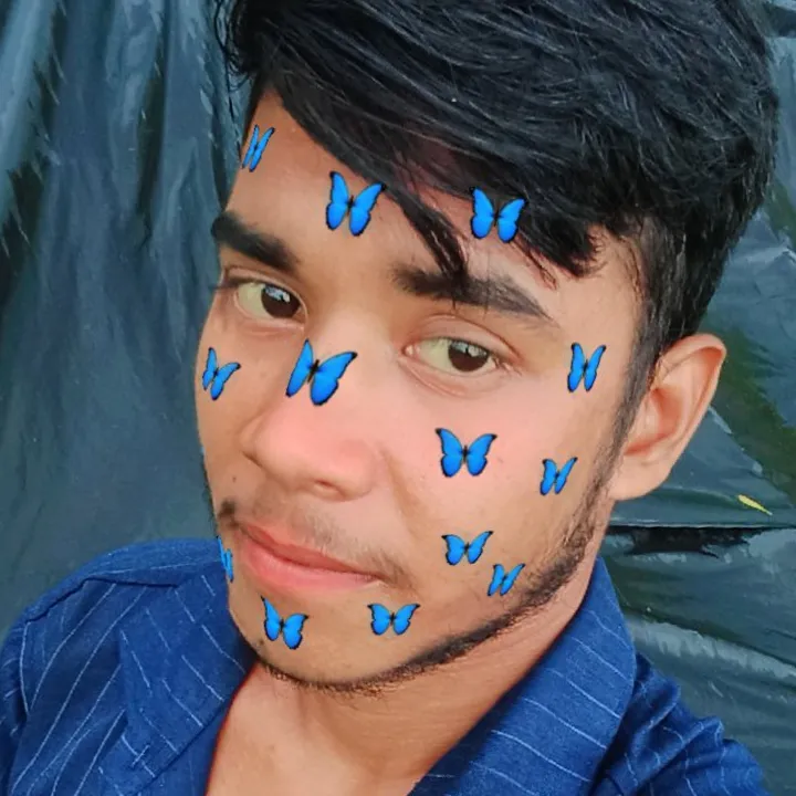 ankit kumar