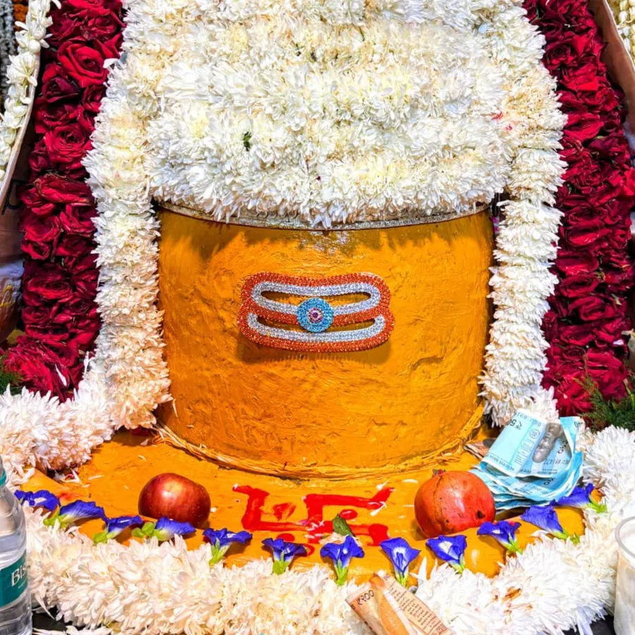 Krishna Kushawah