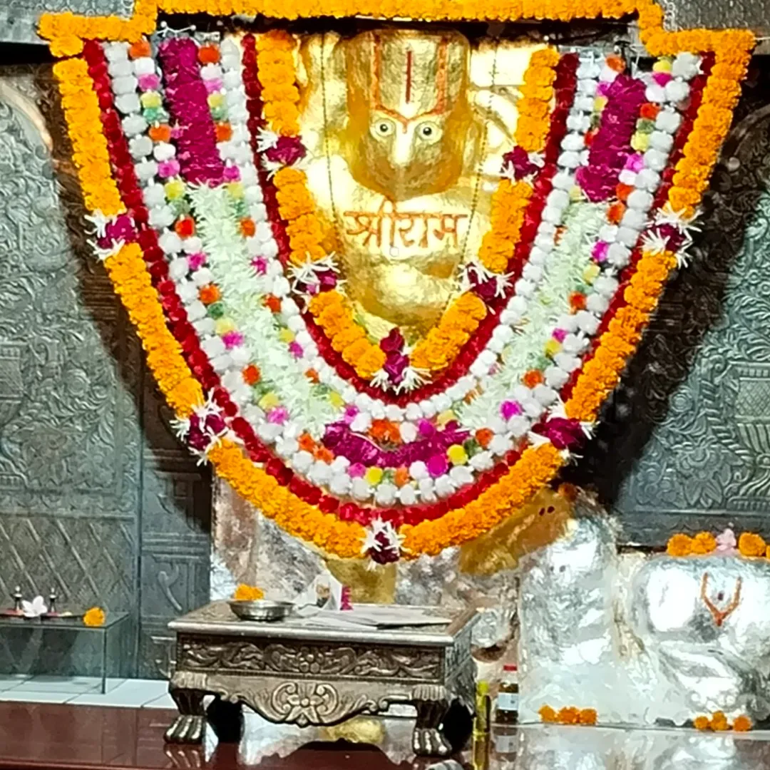 माहिर माहिरमाहिर