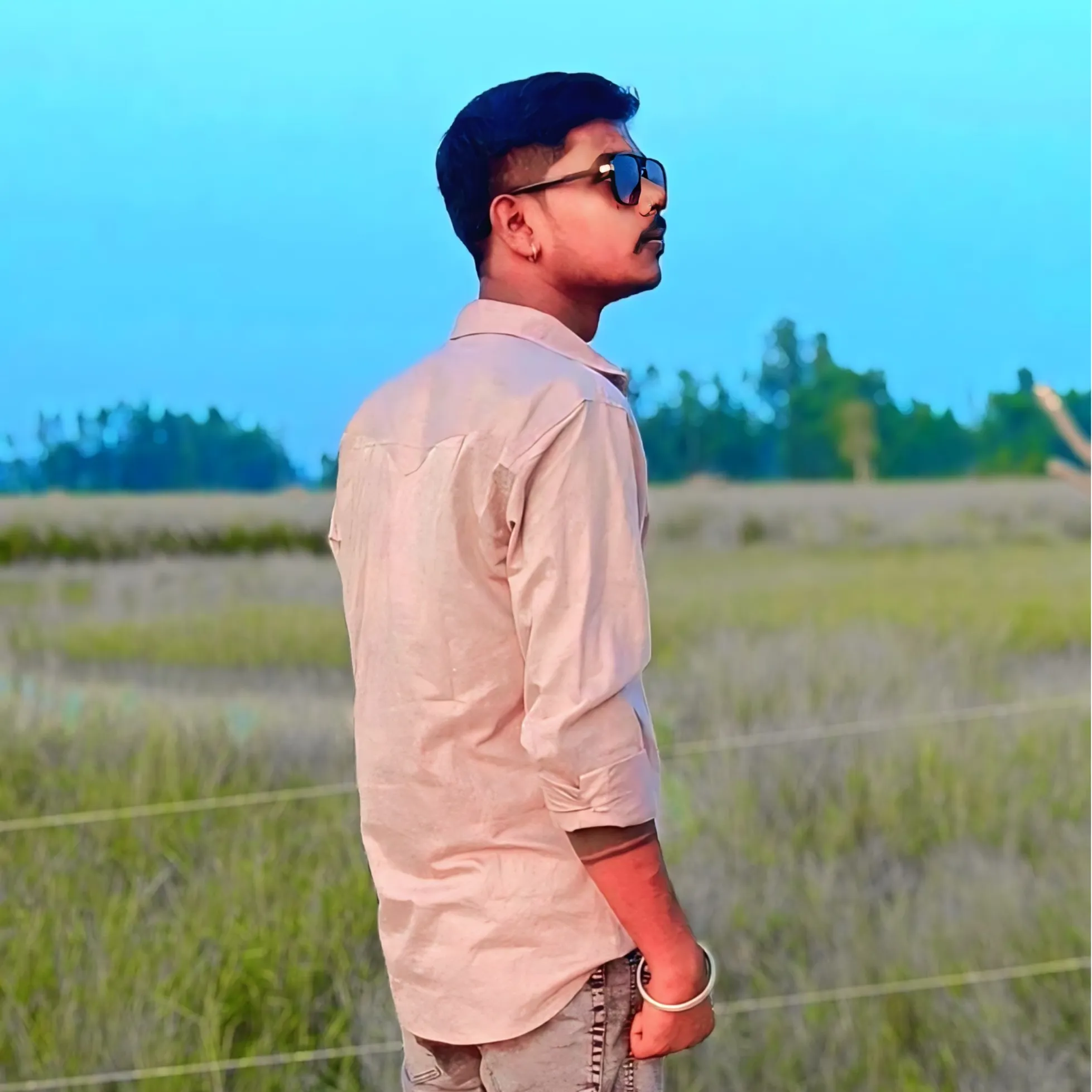 The Krishna