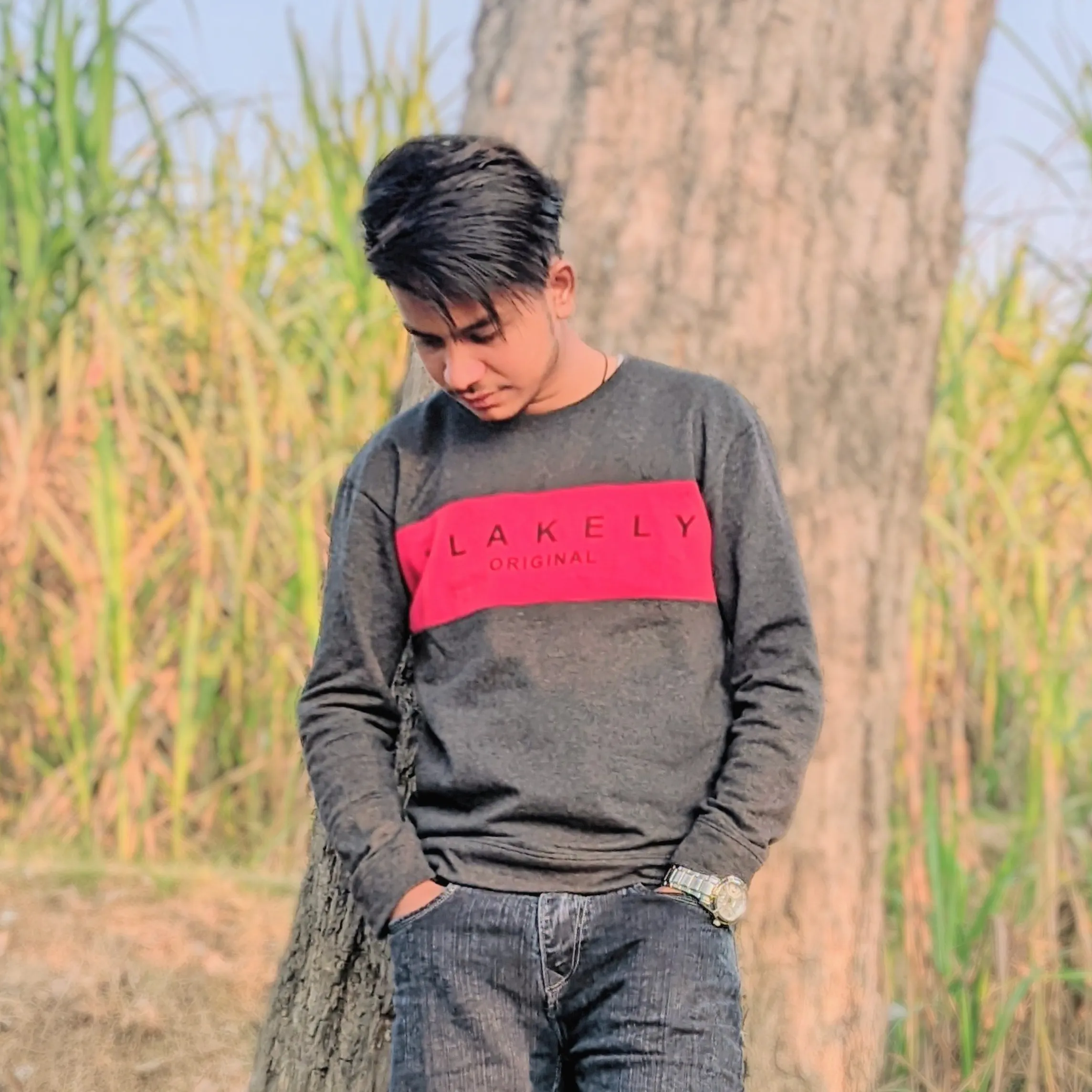aamil saifi