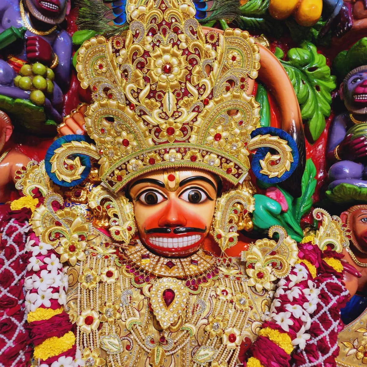 CL Suthar Dkg