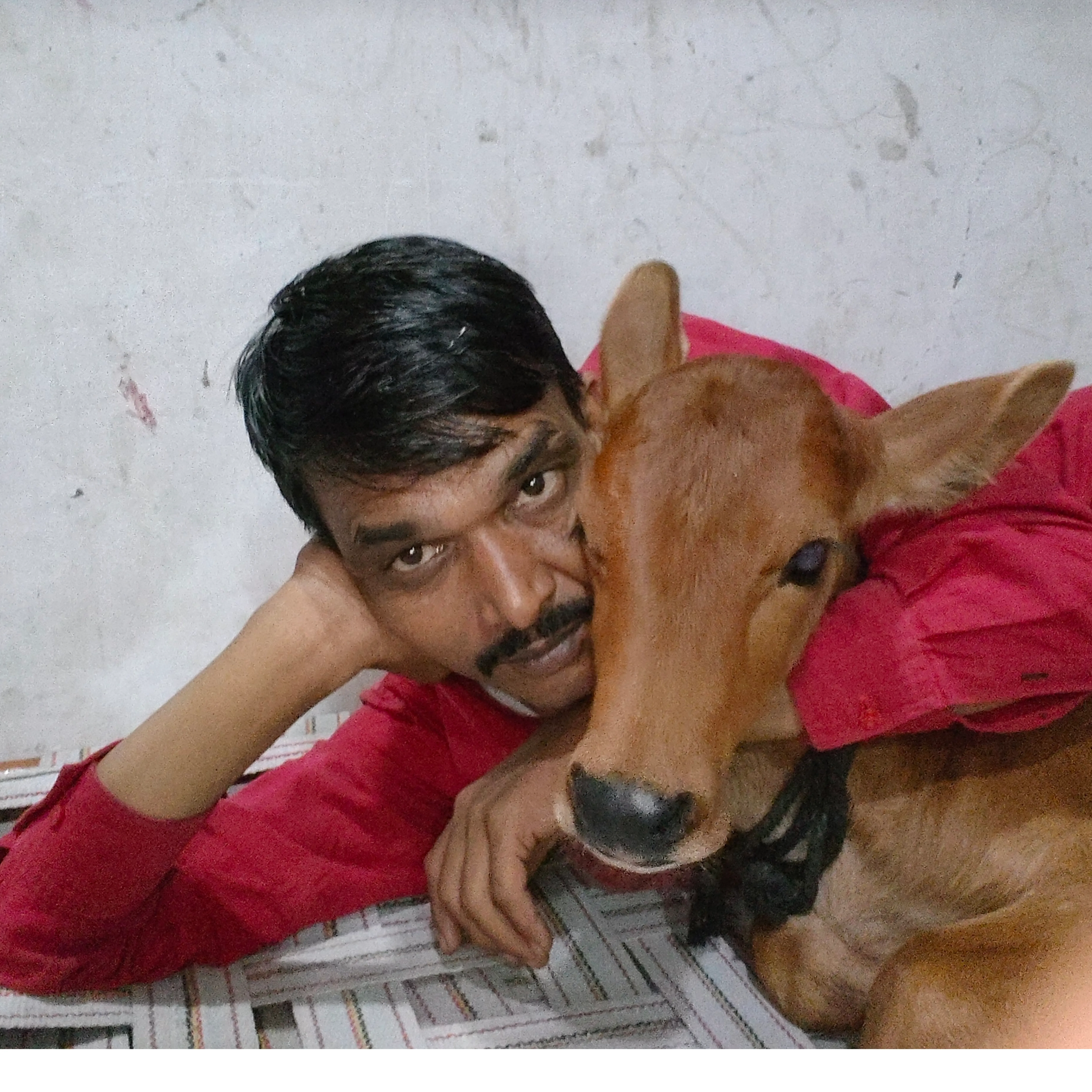 gajraj tanwar