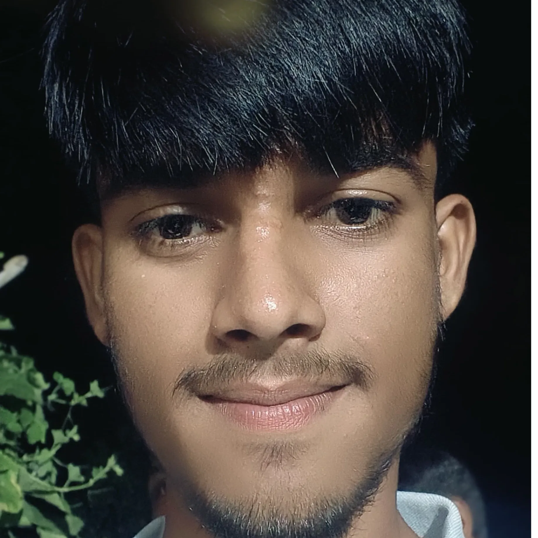 Ankit rajpoot