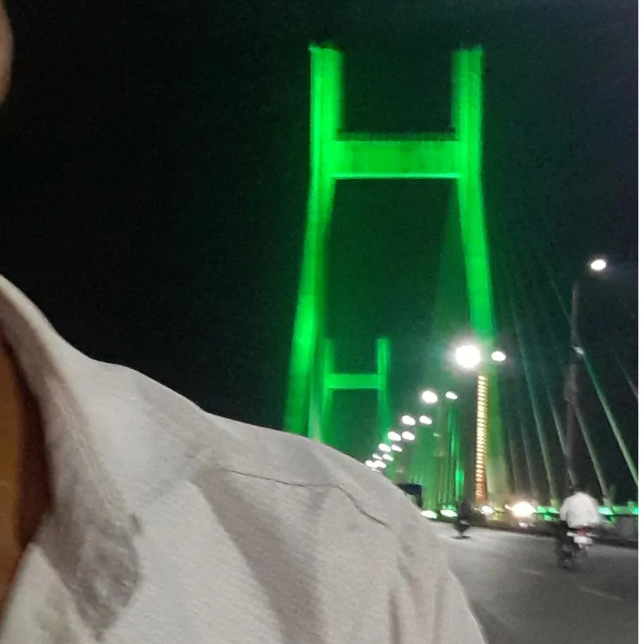 VN singh