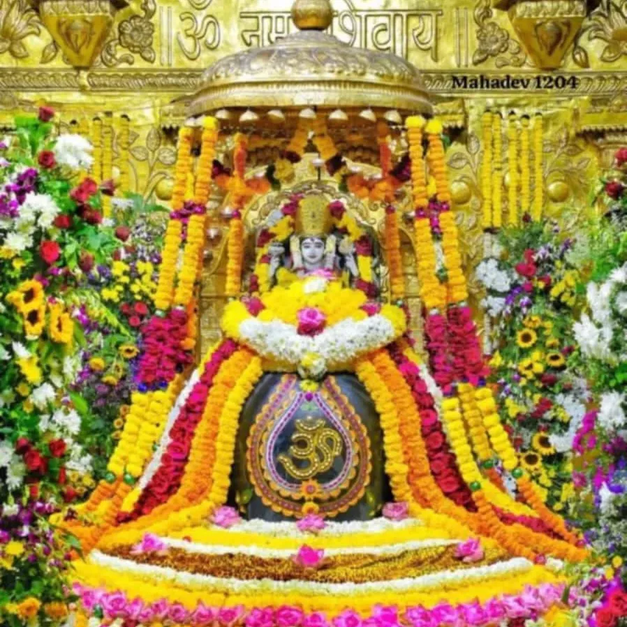 Nakum Bhavin