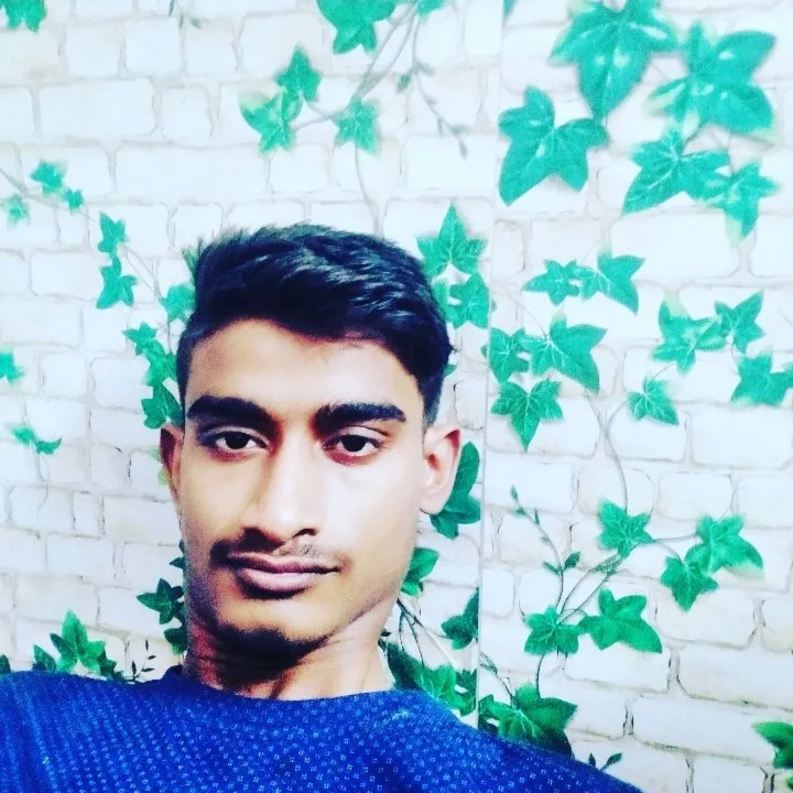 Bombay cutpiece house