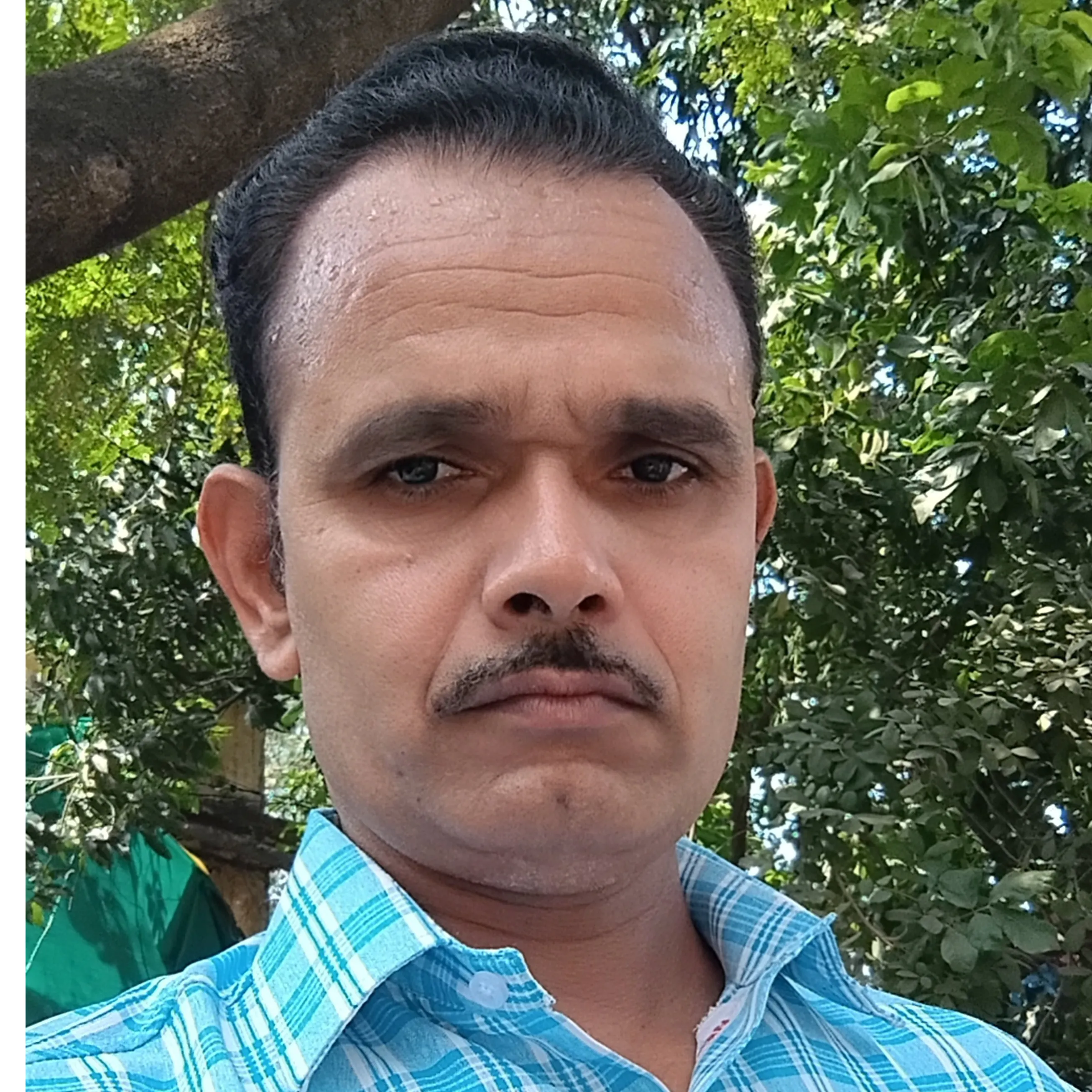 Vikas Tiwari