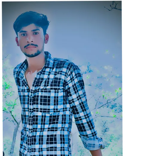 pushkar meena