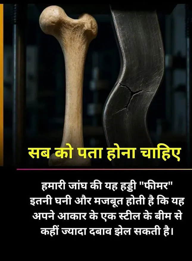 Dheerendra Kumar