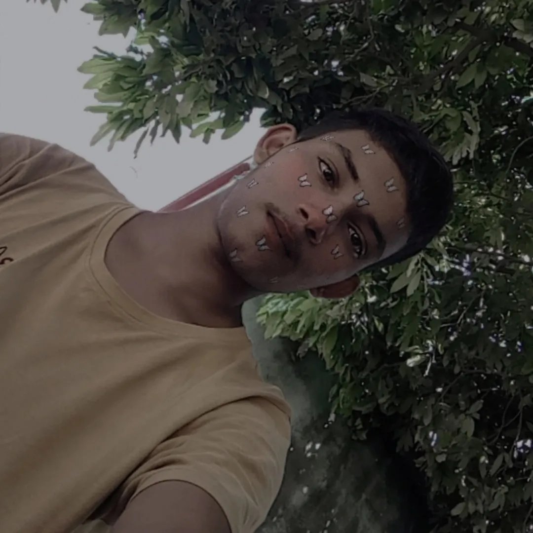 Aditya Kumar Ray