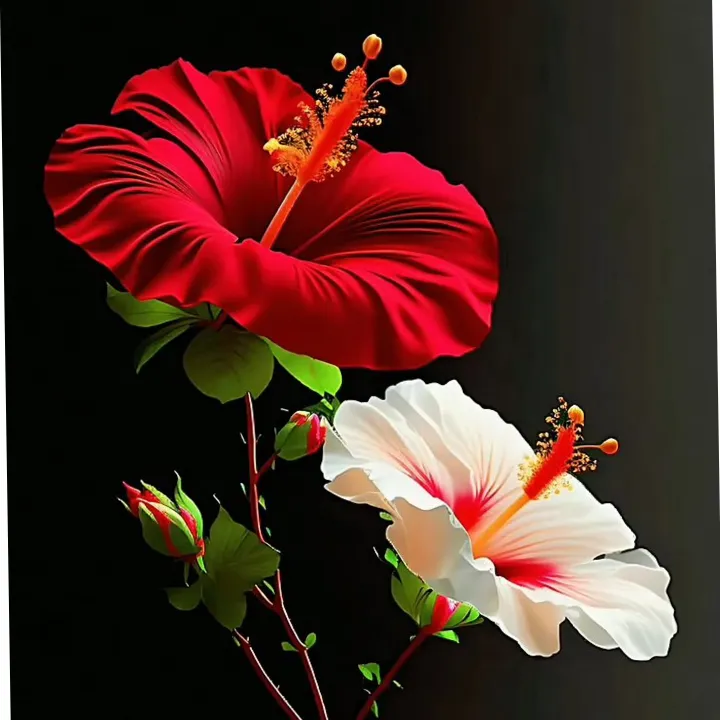 Sonu kushwaha