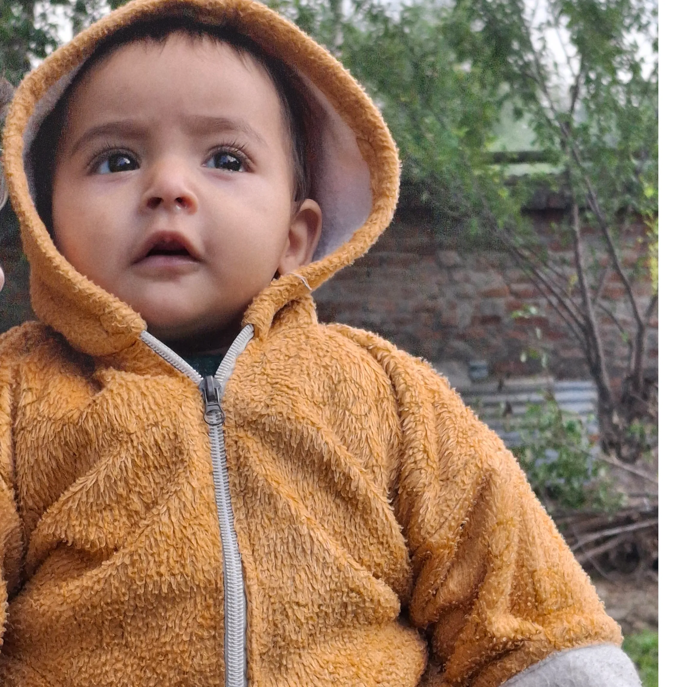 shah javaid