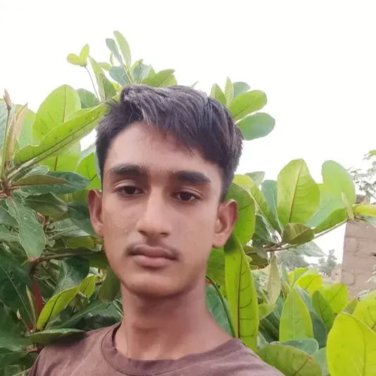 lalit thakor