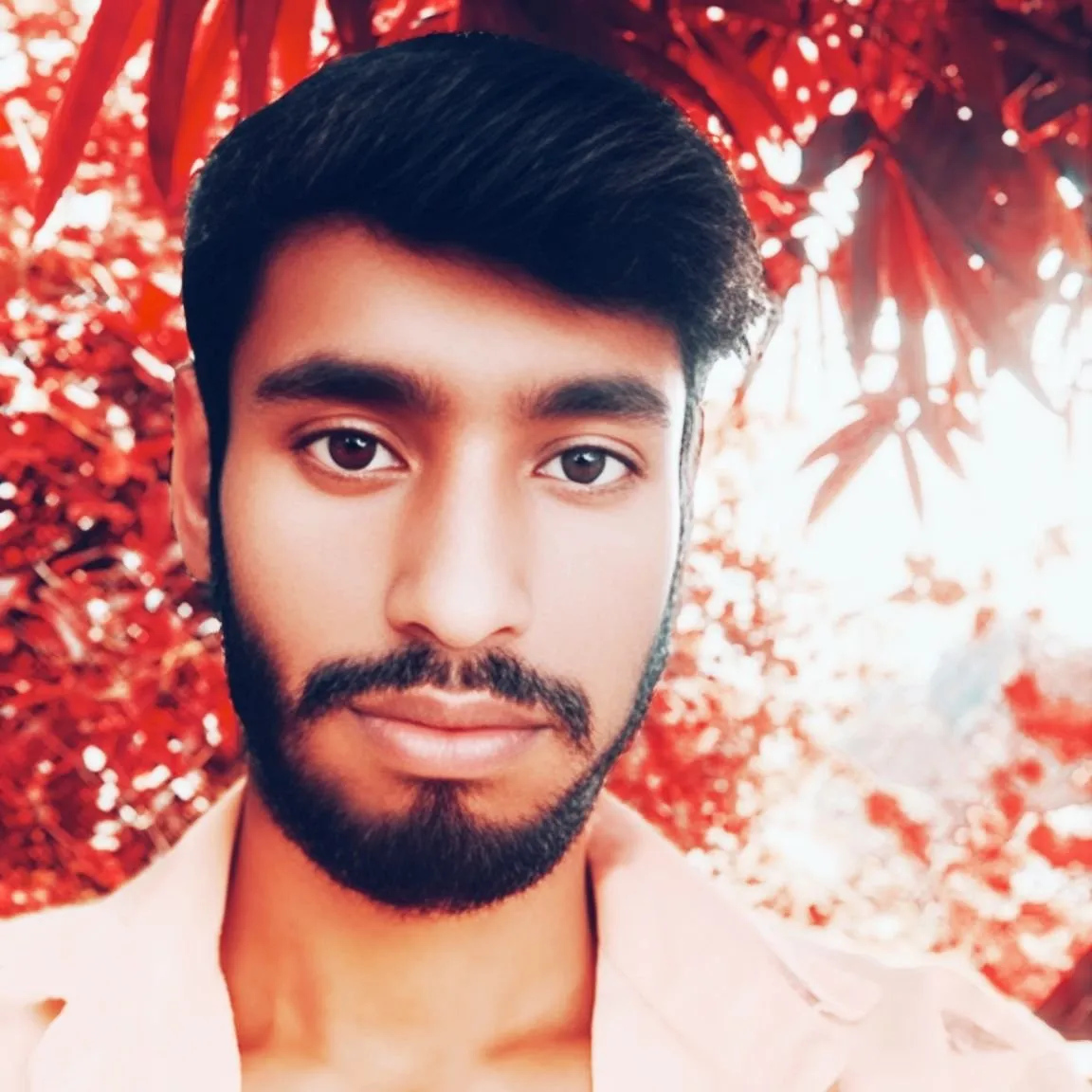 DeewanaRaja Raja