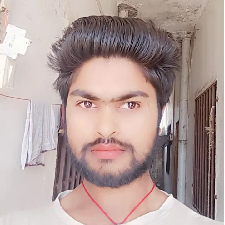 Raja babu