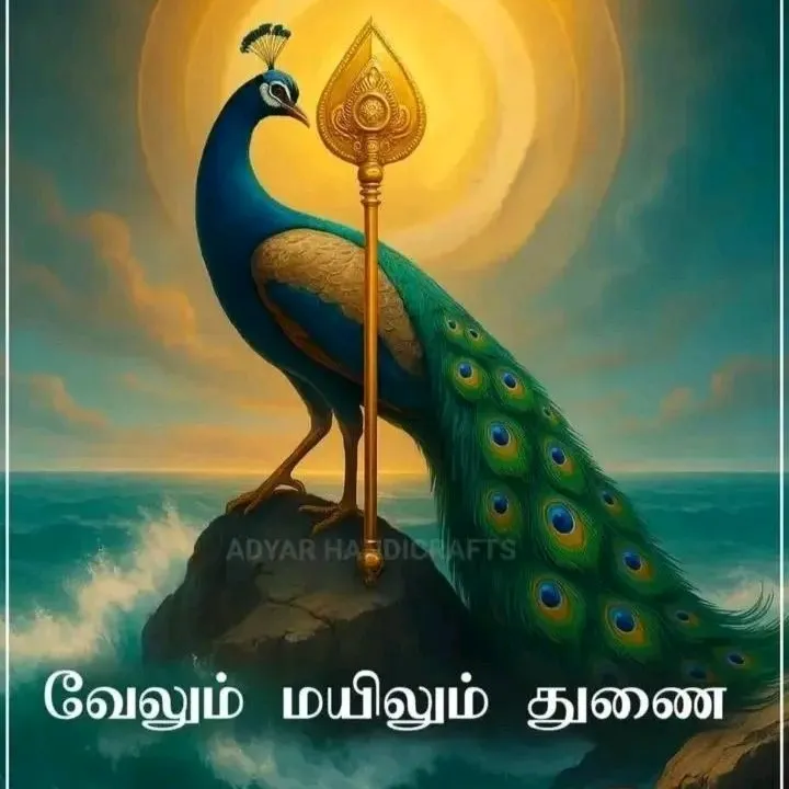 s.Kamalakannan s.Kamalakannan
