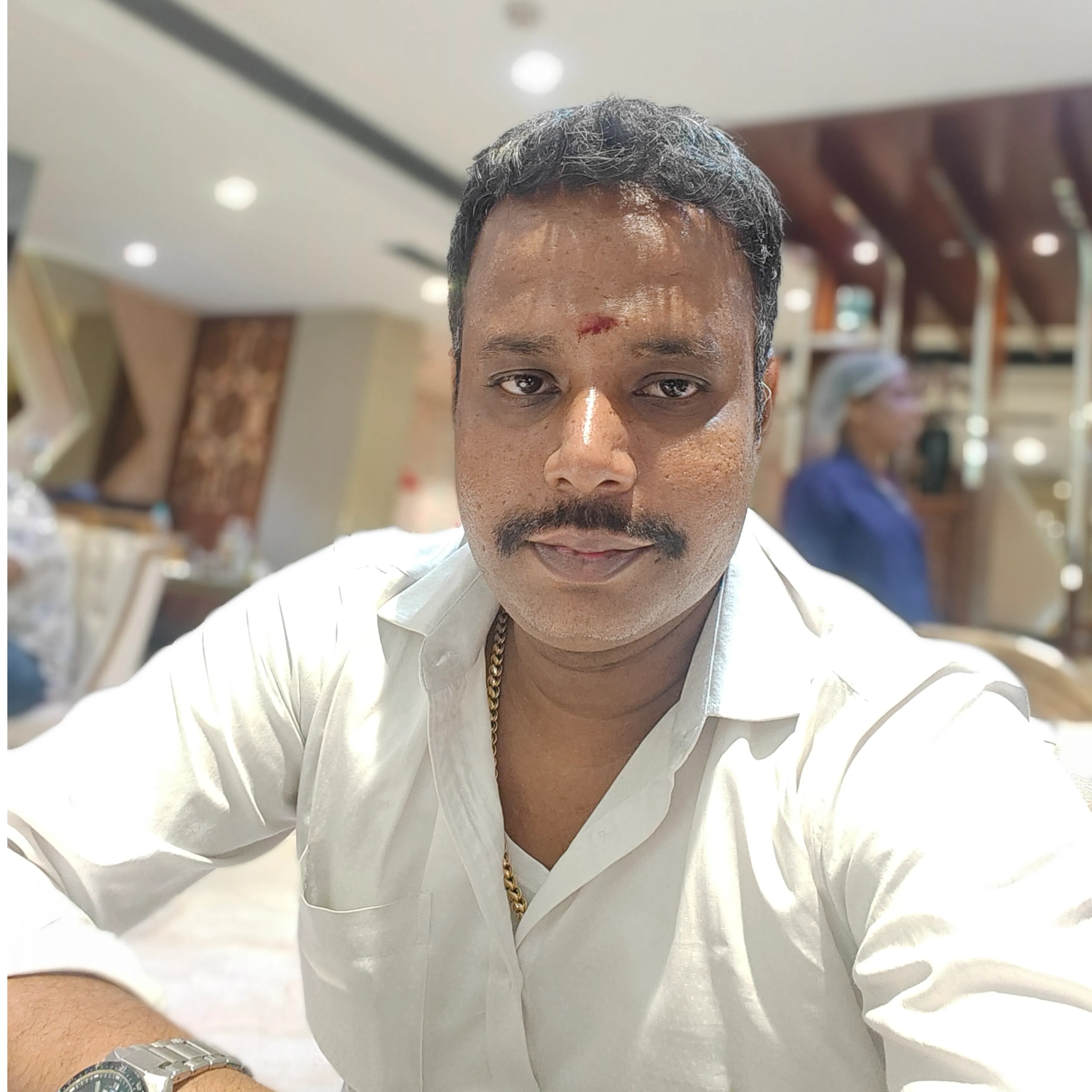 MURALIKRISHNAN V