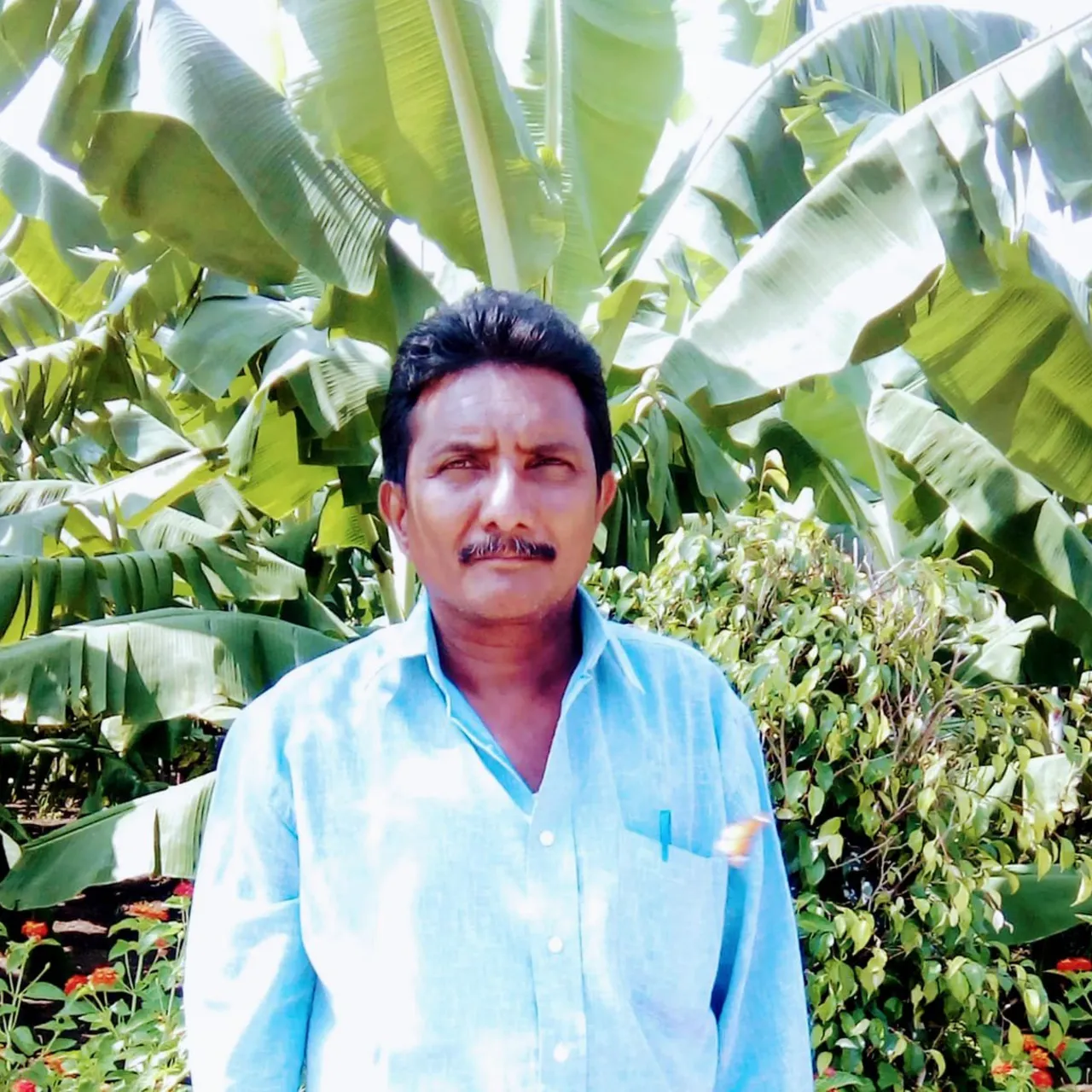 Subbarao Bandela