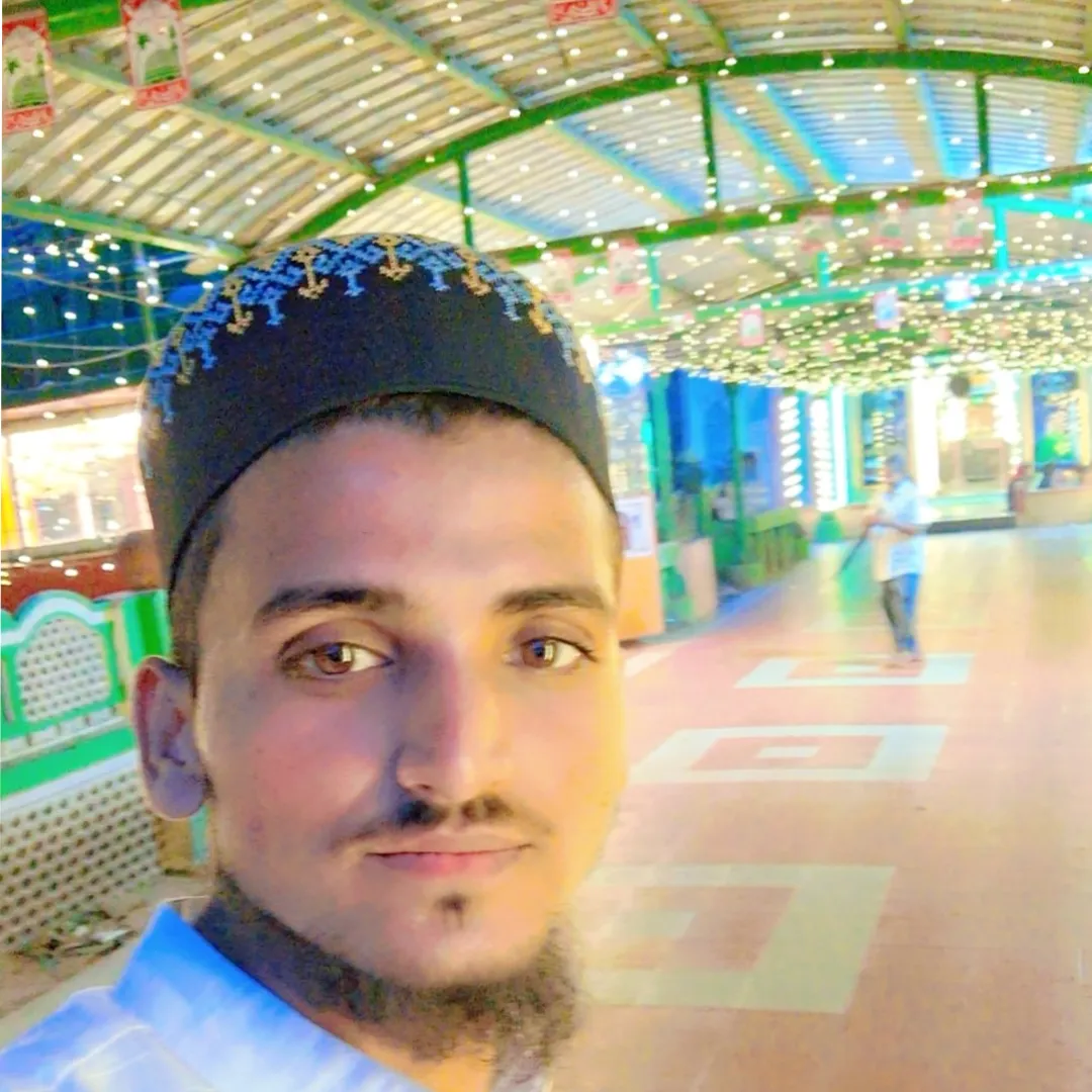 محمد قطب الدین