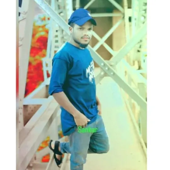 Sankar Disari