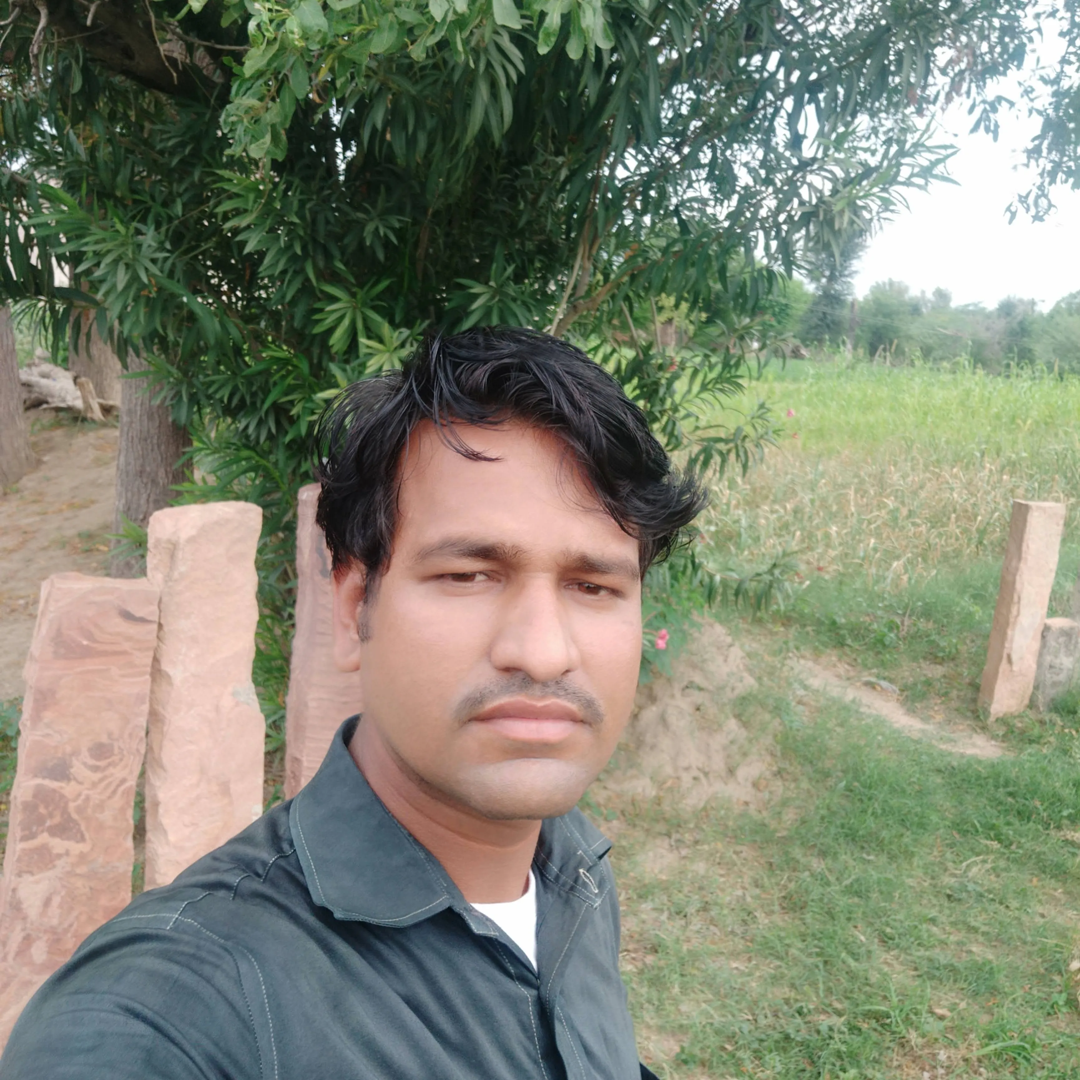 prem joya