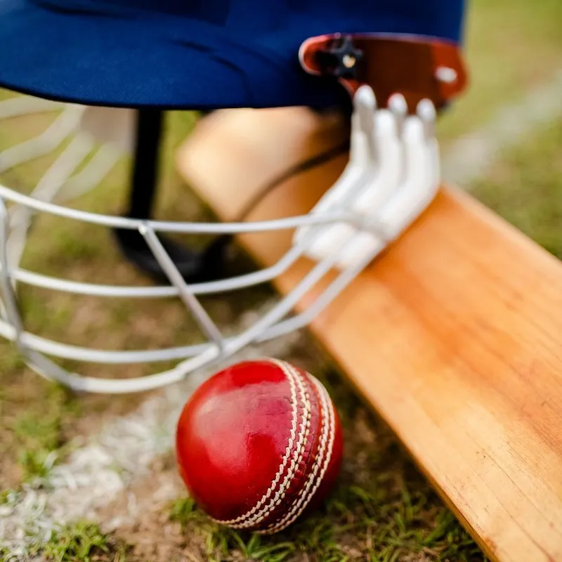 cricket lover