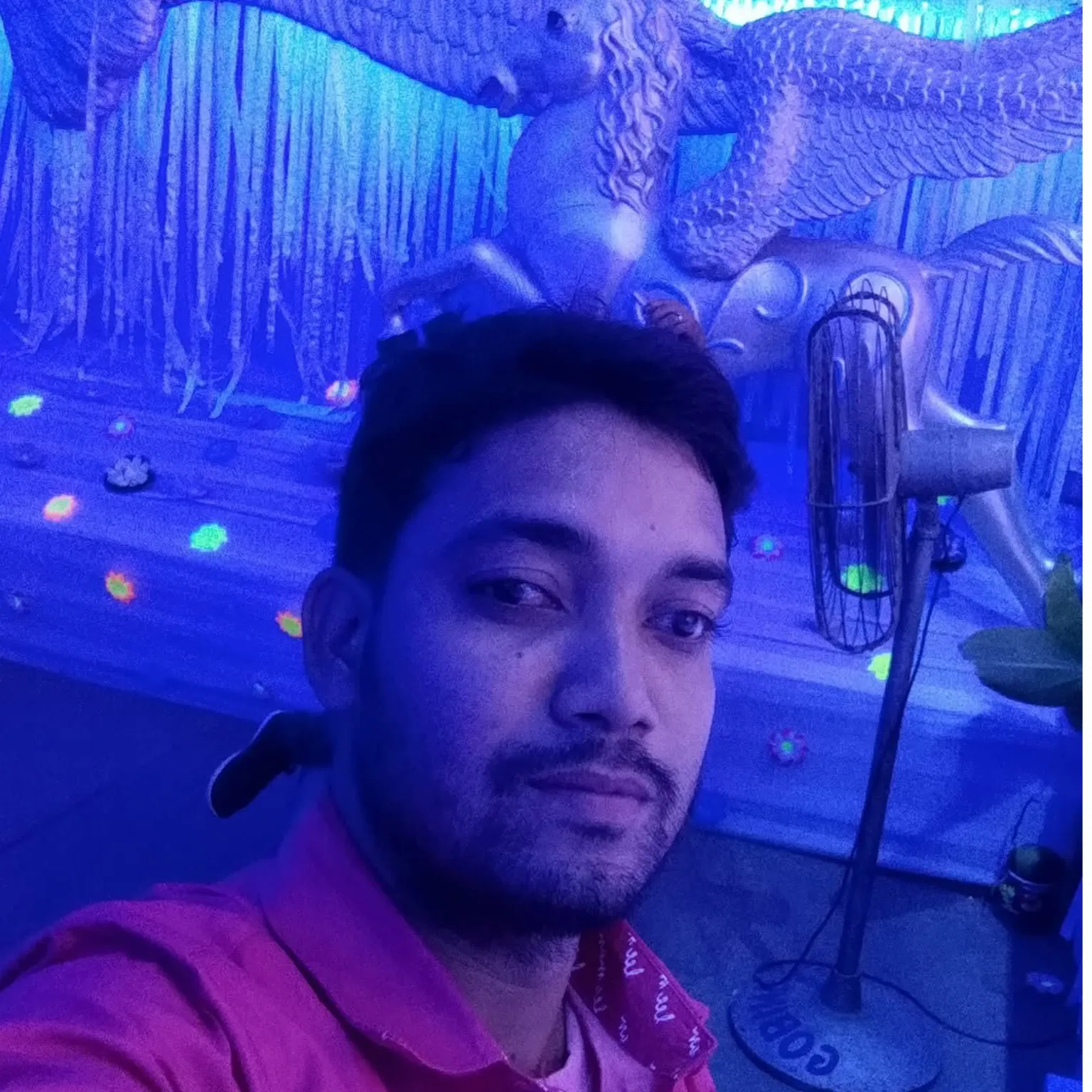 BAPI ROY