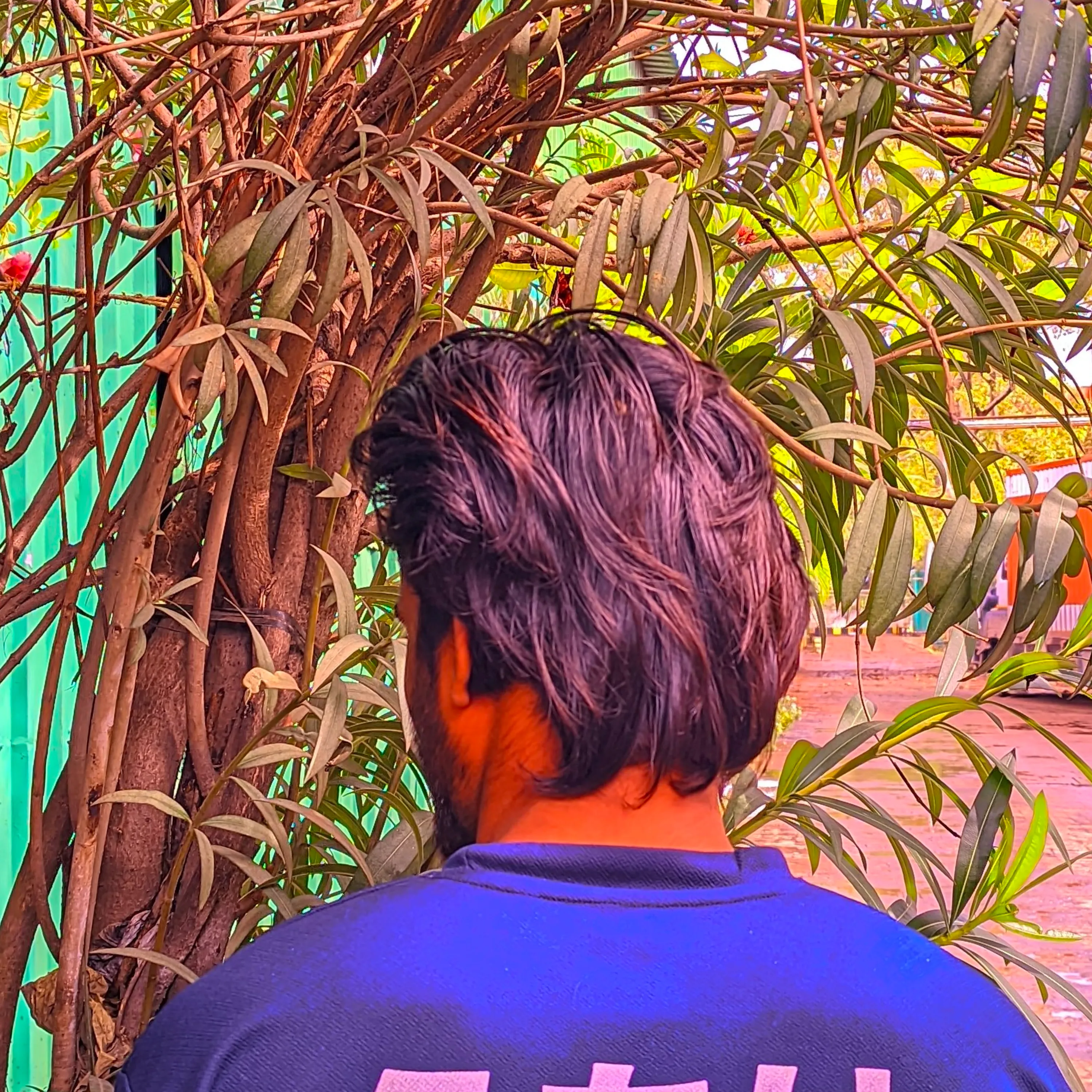 vivek Mehra