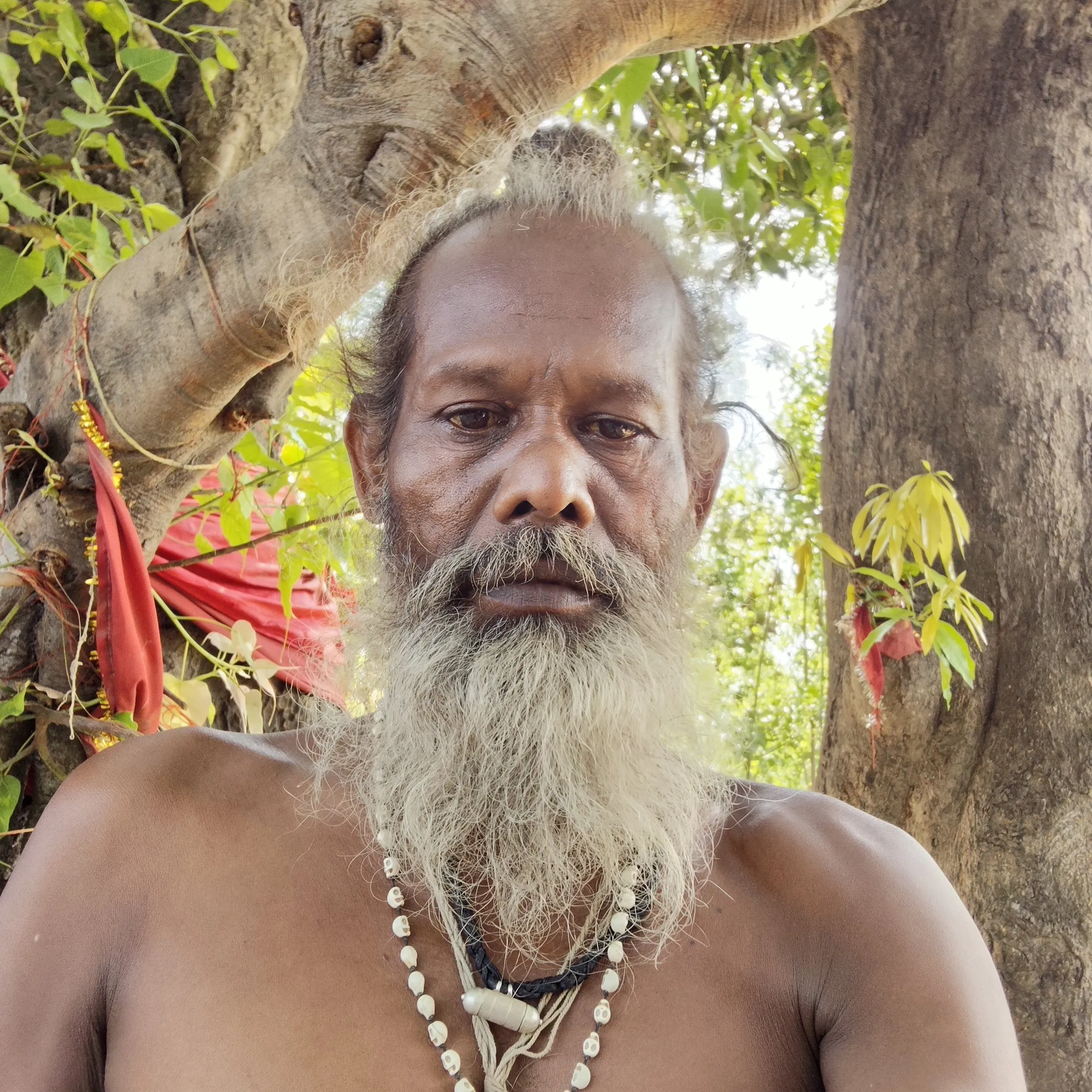 Seva Bharti