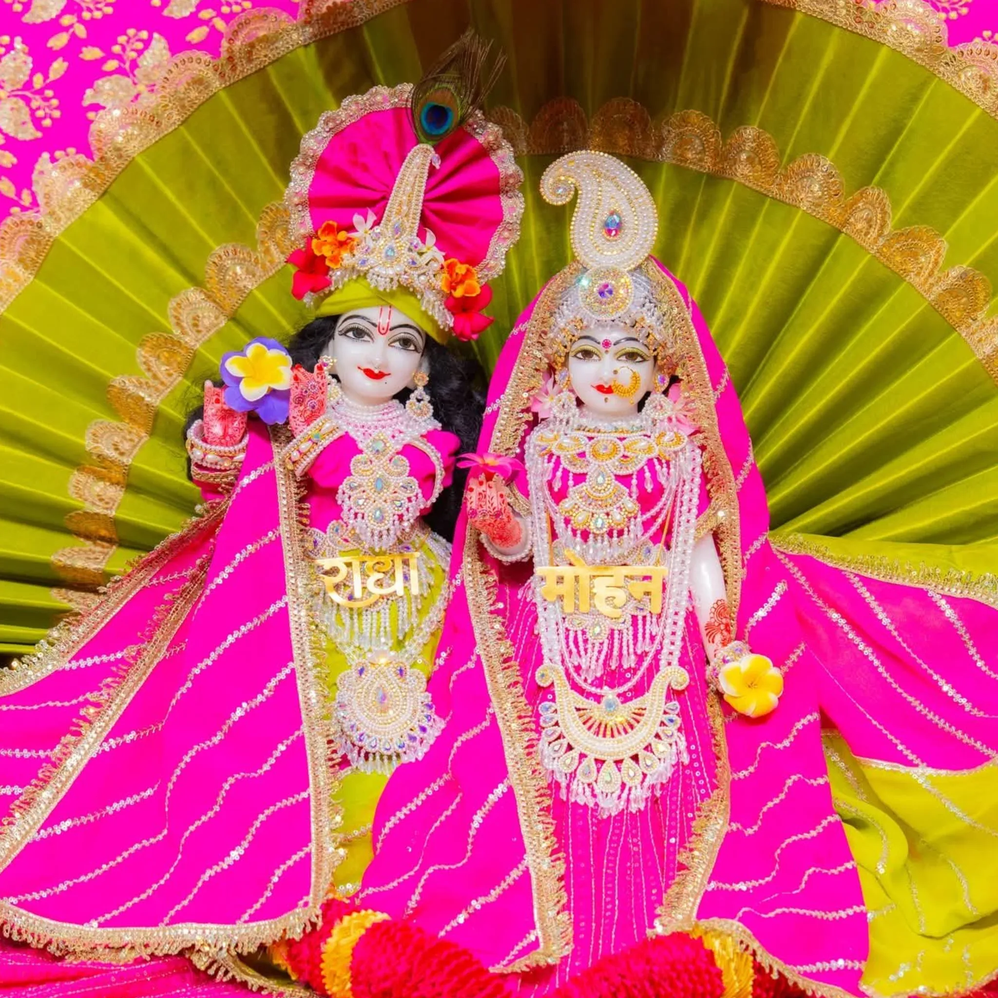 vinod singh