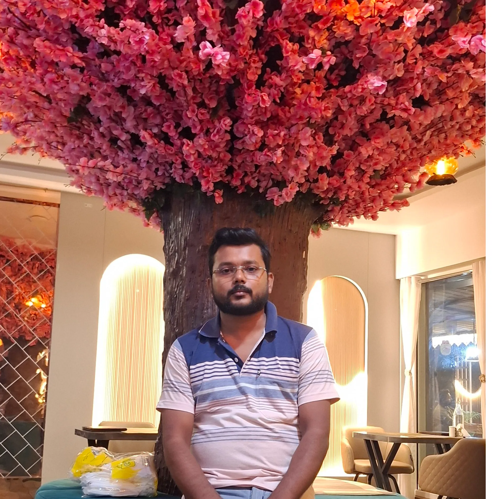 rabin saha