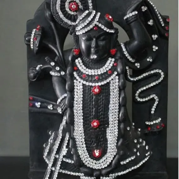 hansa soni