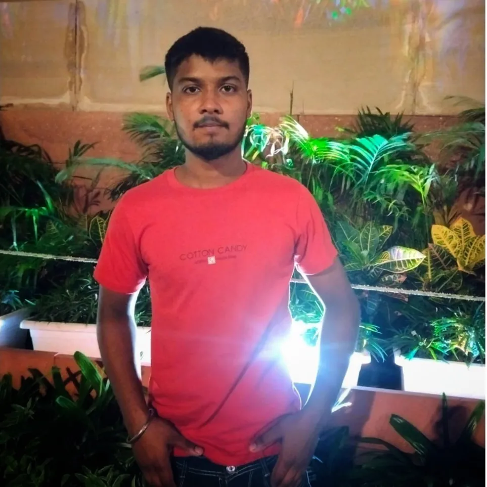 Raja babu