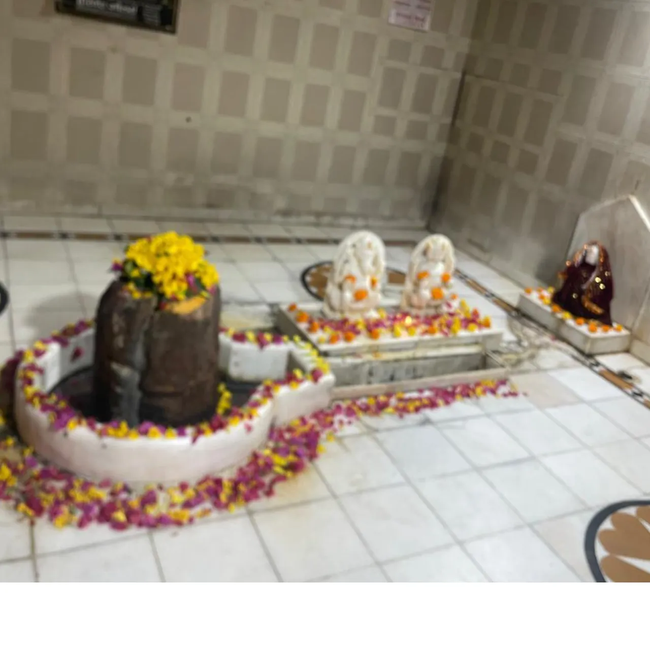 Sonu Dadri
