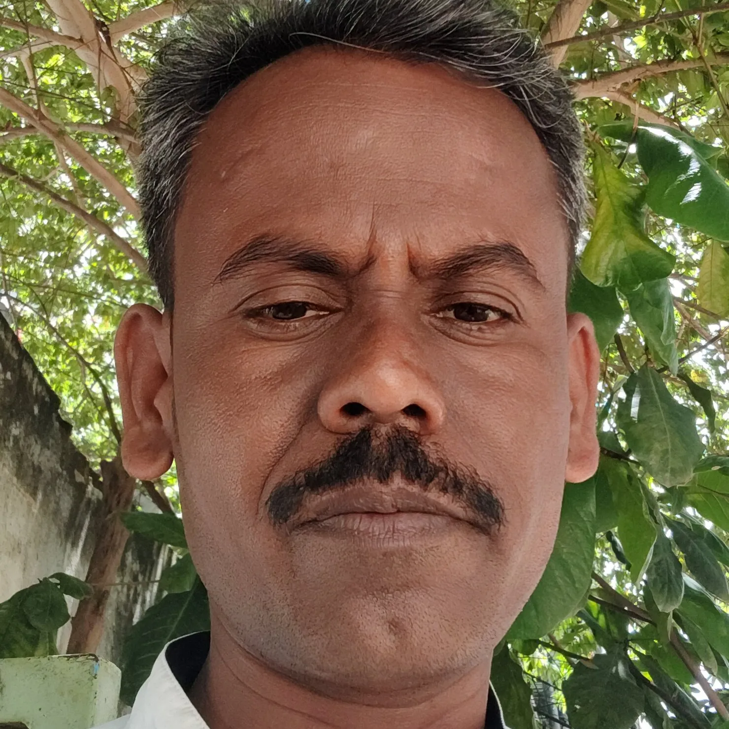 Sanjiva kolachi