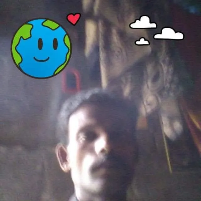 Narayanaperumal Narayanaperumal