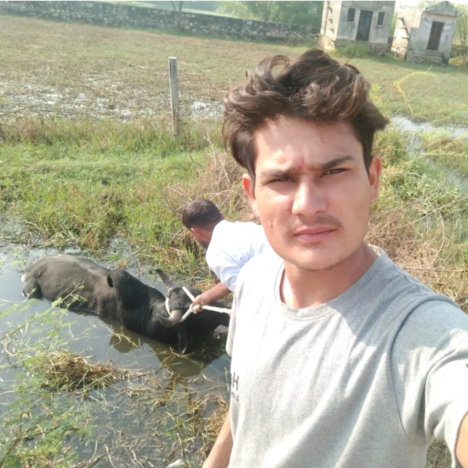 Surendar Meena
