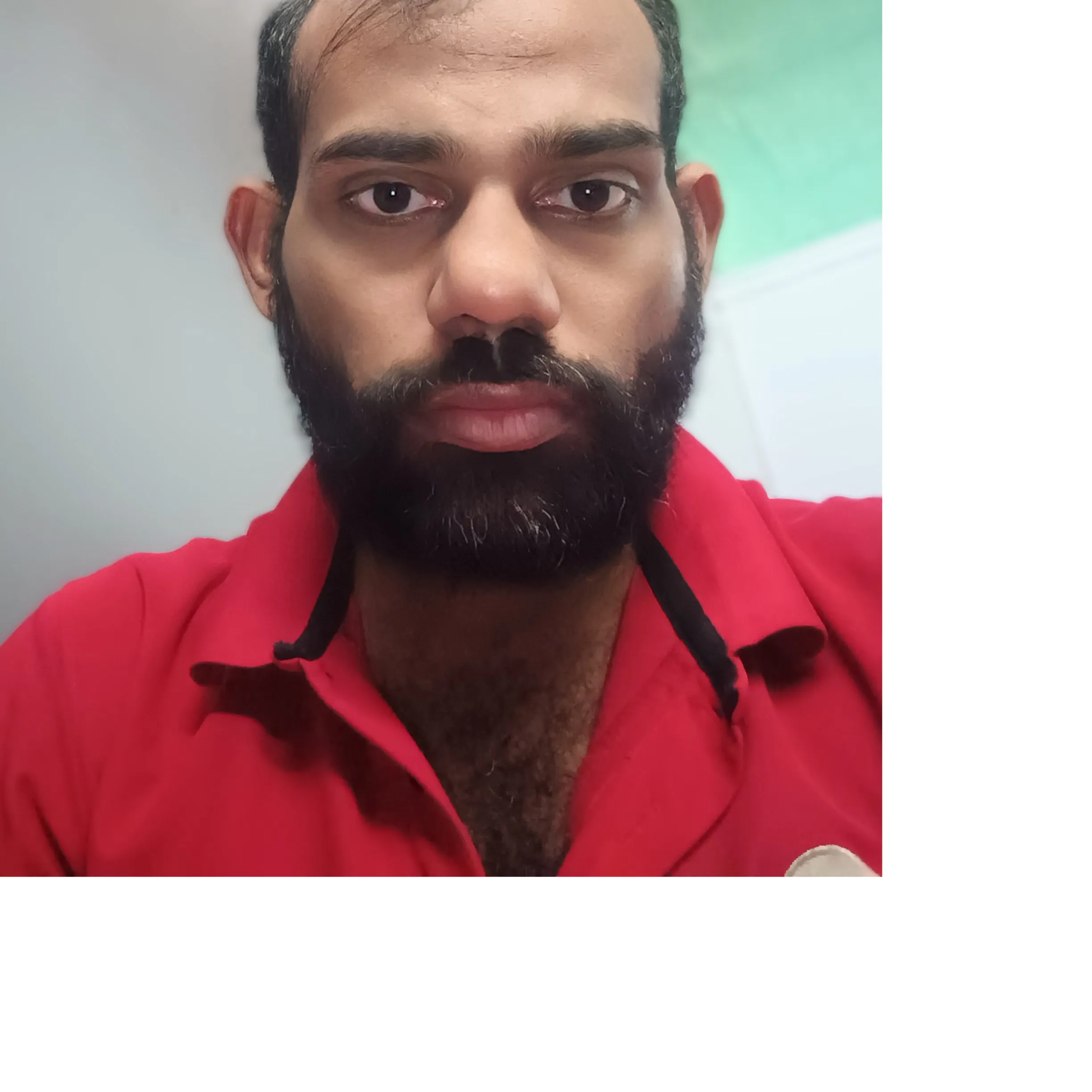 sameer P