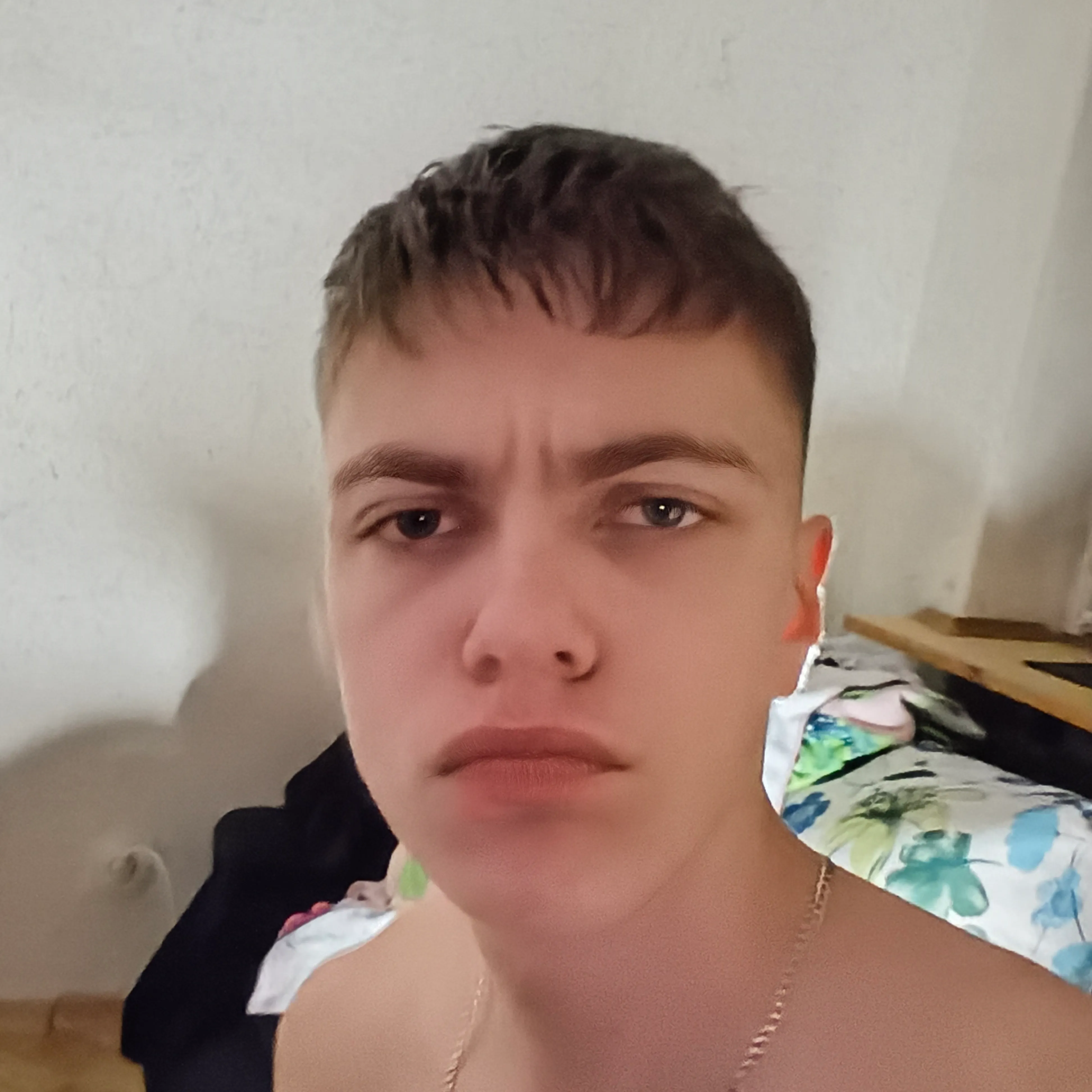 Tomek Sintaria