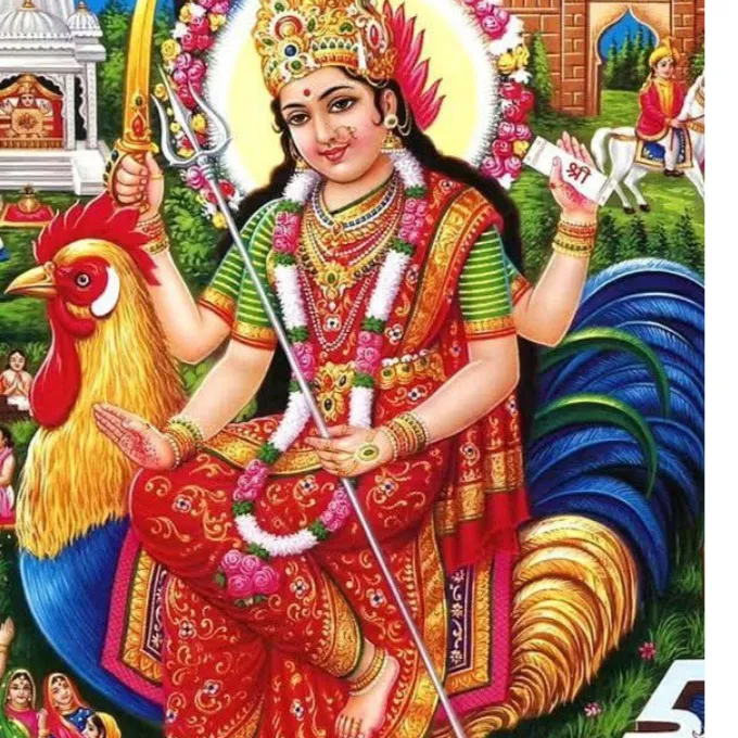 RajuBhaiVasanth UttarGujaratIndia