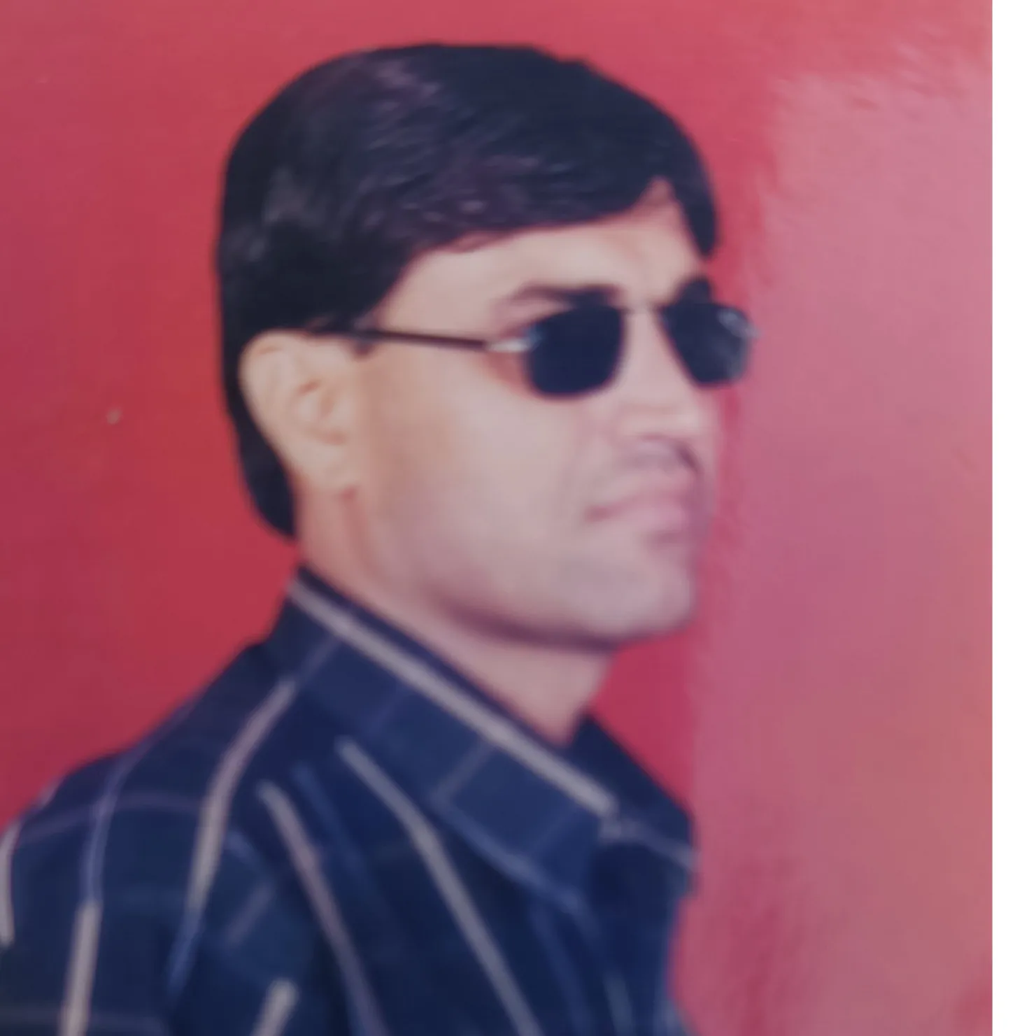 brahma Meena