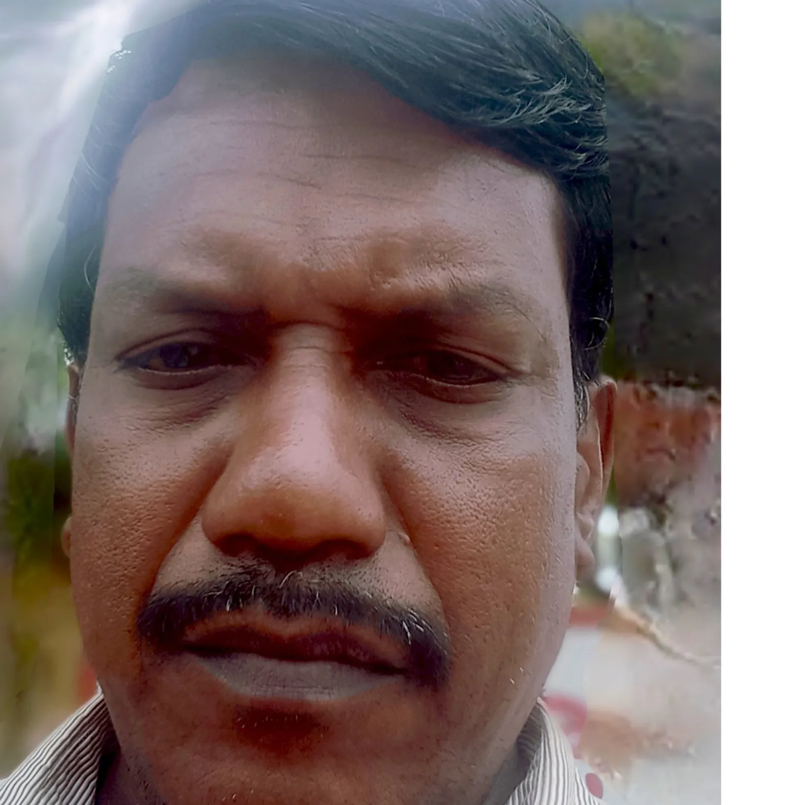 முதனை தனசேகர்.த