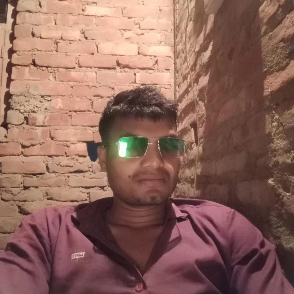 chhotu roy